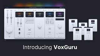 VoxGuru THRaudio