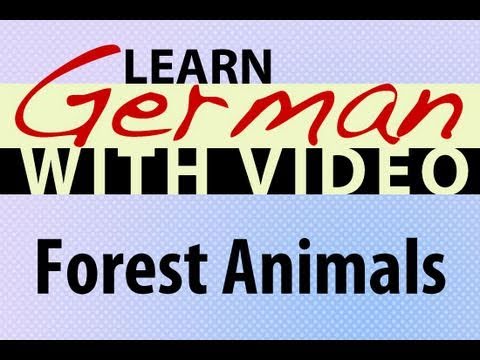 Learn German with Video Common Animals