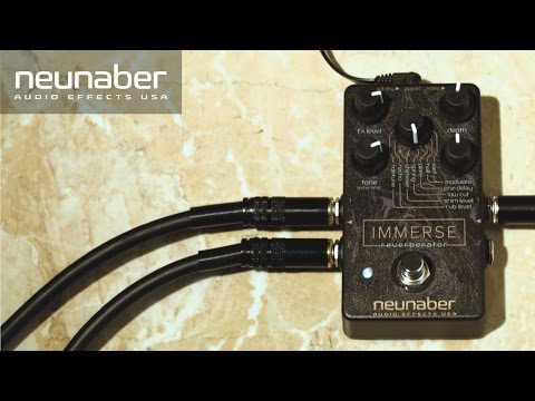 Neunaber Audio Immerse Reverberator - Black image 3