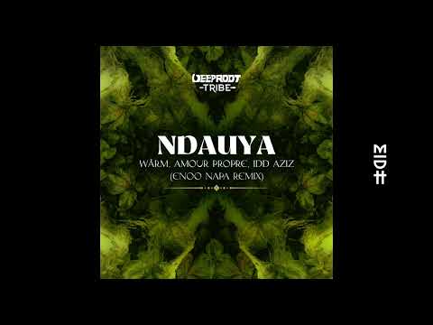 WÄRM, Amour Propre, Idd Aziz - Ndauya (Enoo Napa Remix)