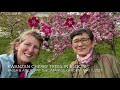 Buffalo Cherry Blossoms Reimagined 2021 | Spring Tour of the Japanese Garden