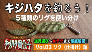 【キジハタ入門③リグ各種】ロックフィッシュに必要なリグの紹介。各リグの使い分けなどを紹介してます。【地球遊び#133】