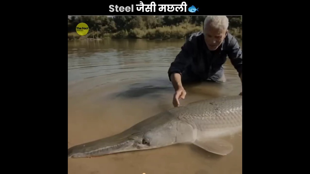 Toughest Fish 😮
