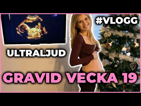 Gravid vecka 19 Rutinultraljud,Växa upp med bara en pappa. Hur känns det som partner att vänta barn?