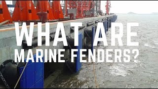 Marine Rubber Fenders: What are they? Popular types of fenders