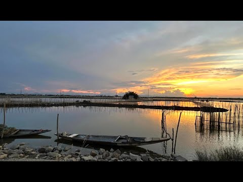 Ru Cha & Calm Music for Relaxing