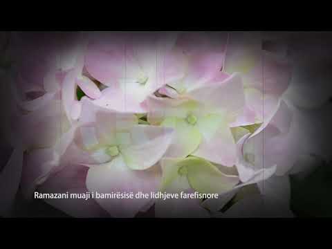 30 Mesime per agjeruesit- Ramazani muaji i bamiresise dhe lidhjeve farefisnore  29