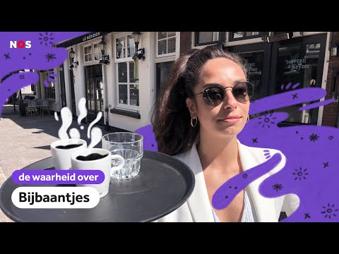 'Ik VERDIEN nu TWEE keer zoveel als normaal' | De waarheid over BIJBAANTJES