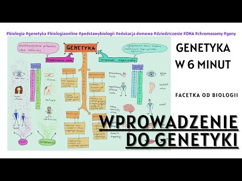 Czym jest genetyka - Genetyka podstawy - Darmowe korepetycje z biologii - Film i Rysunki