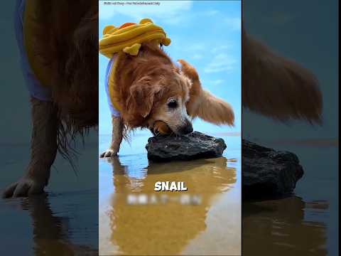 My Dog Went Fishing for Me… But I Never Expected THIS!