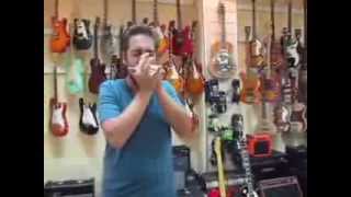 Armónica Les Akordes en Barcelona - La Clau de Sol www.laclaudesol.com