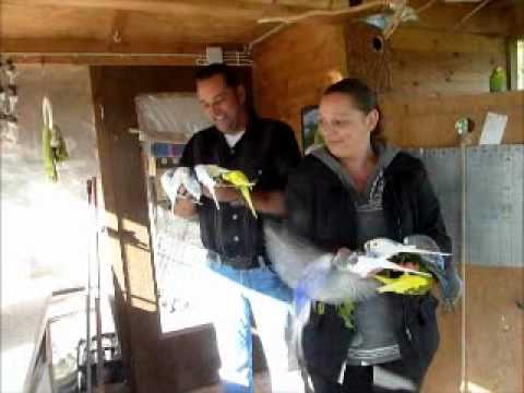 2011 09 06 Marko Veenhusen.wmv