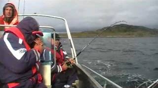 preview picture of video 'kaschi heilbutt über 100pfund, drill landung fun harpune norwegen flatanger vik-brygge norge kveite'