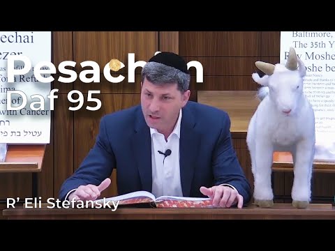 Daf Yomi Pesachim Daf 95 by R’ Eli Stefansky
