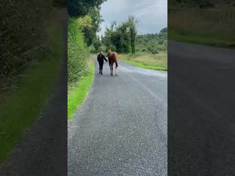 Video 2