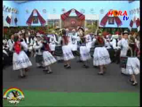 ANSAMBLUL MOSTENITORII DIN CHERELUS - Dans 1