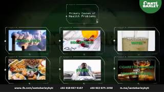 100% Certified Organic Barley produce (Sante Barley)