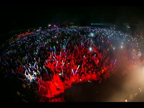 Dimitri Vegas & Like Mike - Laundry Day 2013