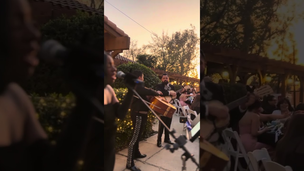 Promotional video thumbnail 6 for Mariachi Bohemio