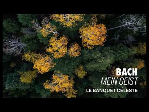 J. S. Bach: Mein Geist - Le Banquet Céleste
