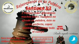 Santiago 3:2
