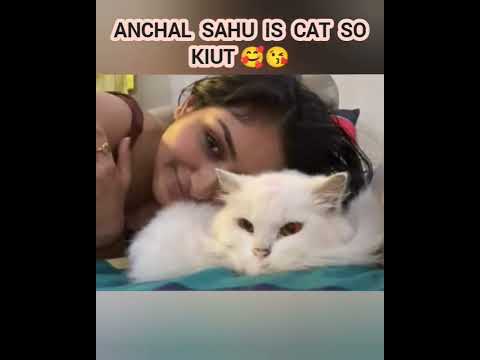 anchal sahu is cat 🐱#anchalsahu 🥰😘