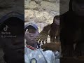 Vhoki Kelvin BAIKOKO MAPUKA Only Xxx 2