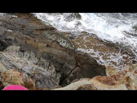 Someday my prince will come - Sandalwood Trio