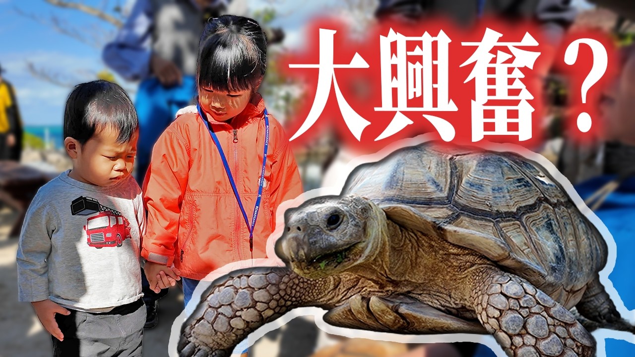 【満喫】初のウミガメに子どもたち、大興奮！！｜日本人・ベトナム人の国際結婚カップル