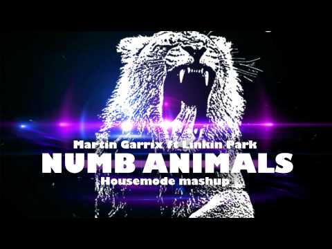 Martin Garrix ft. Linkin Park - Numb Animals (Housemode Mashup)