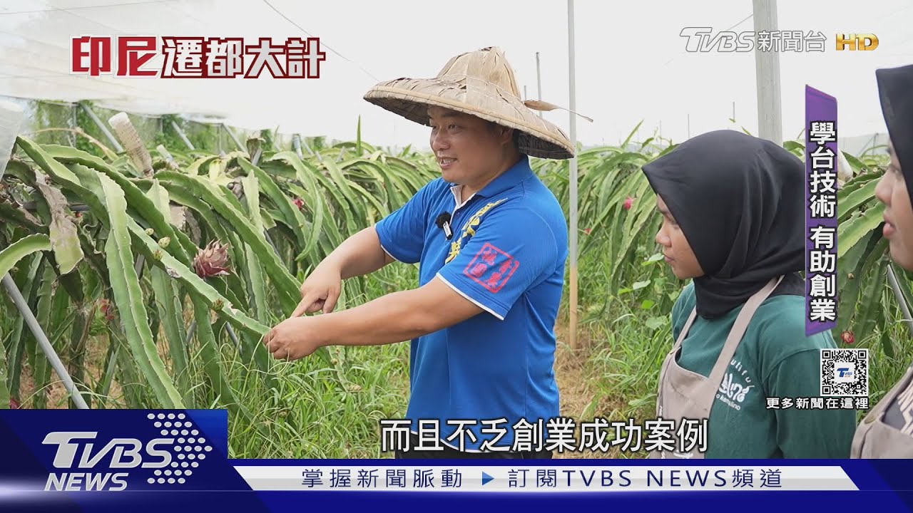 台印交流深化!印尼青農來台取經學本領 台灣新創聯手飛印尼拓商機