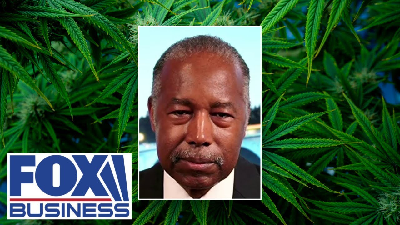 Our enemies are taking advantage of this,  Dr. Ben Carson warns