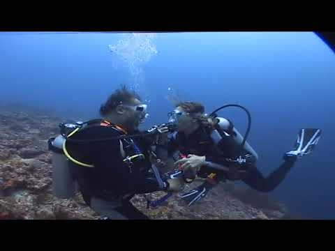 immagine di anteprima del video: Immersioni Isola Sipadan (Malaysia) 2007 (Parte 1)