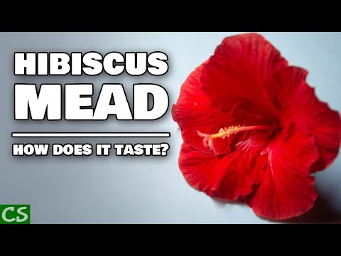 Hibiscus Mead Tasting - How is it at a Month old?
