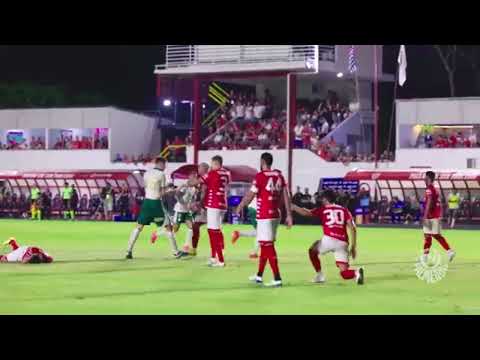 Noroeste 1x1 Palmeiras | Gol Parmeirense ⚽🐷