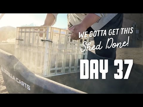 Get This Shed Done - Day 37 - Final exterior plaster test & new sifter
