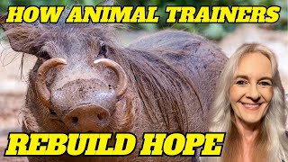 From Hopeless to Empowered: How Animal Trainers Rebuild Hope