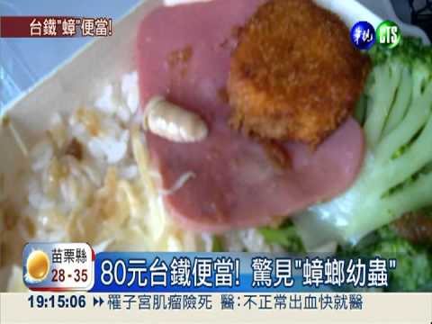 80元台鐵便當! 驚見"蟑螂幼蟲"