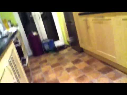 Knocking down a brand new market at brand new days inn hotel Roanoke VA