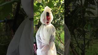 Download lagu Ketemu pocong penunggu pohon #shorts #komedi #cepot mp3 Download lagu Ketemu pocong penunggu pohon #shorts #komedi #cepot mp3