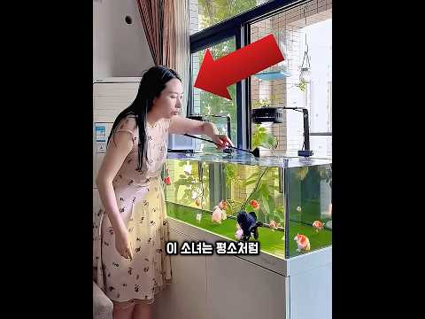 소녀는 며칠 동안 굶은 물고기에게 먹이를 줬어요!🎏🐠