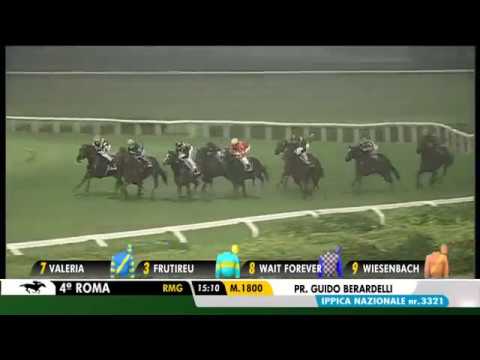 2017.11.05 Premio Guido Berardelli (ITA) - Wiesenbach