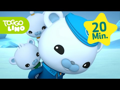 Die Oktonauten und das große arktische Abenteuer | Ganze Folge Deutsch | Toggolino Serien