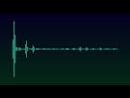 37 49hz Lil Wayne Blunt Blowin Rebassed By Void