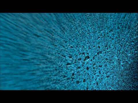 Buchla & Eurorack Soundscape - The Secret Life of Chaos