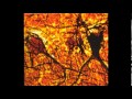 Tribes of neurot – Wolf lava