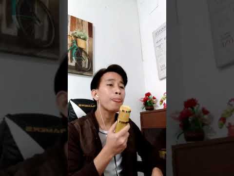 Noruyou - Elica Paujin (Cover)