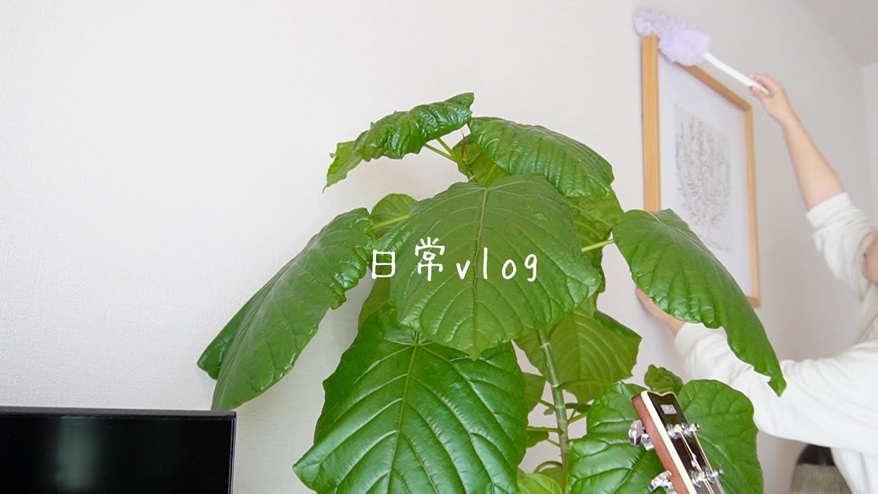 【日常vlog】お出かけの前と後。ちょこっと捨て活、かばんの中身紹介など