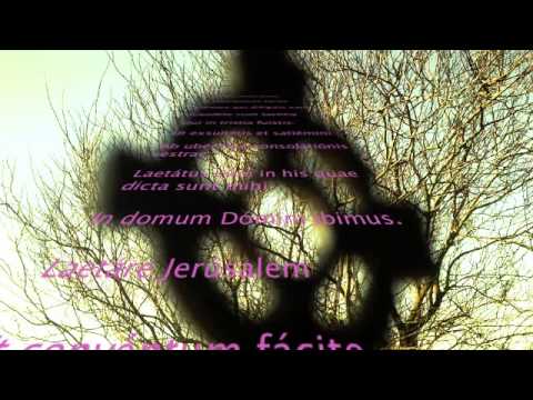 Tempus Quadragesimae - hebdomada V - Dominica: Laetare