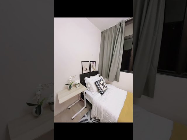 Common Room (Condo) for Rent in  Pine Grove - Image 5